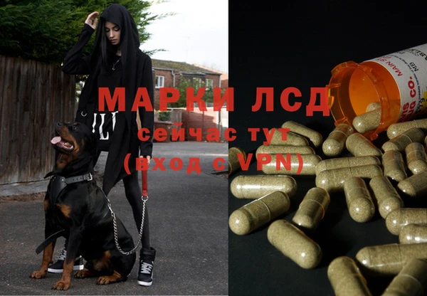 прущие крисы Вяземский