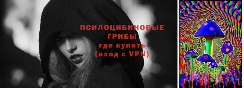 Галлюциногенные грибы мицелий  blacksprut сайт  Кондопога  как найти наркотики 